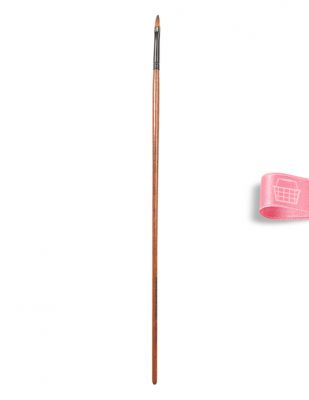 Cenova 203 Seri Fırça - Düz 