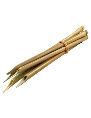 Koza Bambu Kalem, Standart No:2