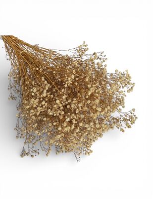 Yapay Çiçek, Şoklanmış Cipso - Naturel