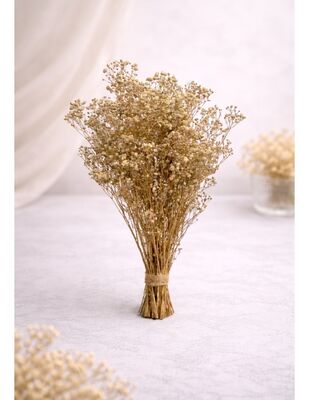 Yapay Çiçek, Şoklanmış Cipso - Naturel