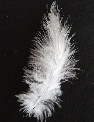 Tek Tüy - 100 Adet - Thumbnail