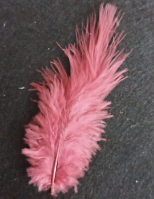 Tek Tüy - 100 Adet - Thumbnail