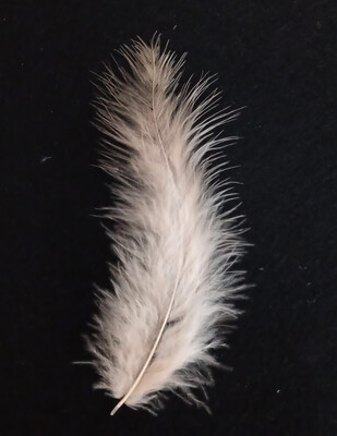 Tek Tüy - 100 Adet - Thumbnail