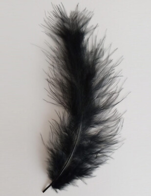 Tek Tüy - 100 Adet - Thumbnail